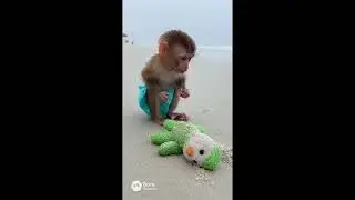 Remember &bull; 1974 &bull; Bay City Rollers &bull; Music Video &bull; Kewpie Bibi Littles at Beach More