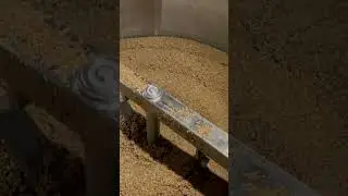Dagje brouwen bij De Prael Den Haag