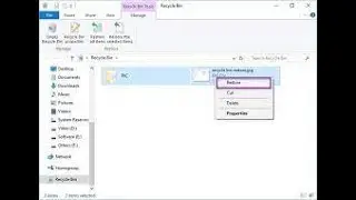 How to restore your important files from recycle bin. Easy way.