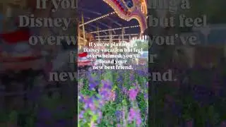 Hit that follow button for more Disney tips and tricks #disneytips #disneyworld  #disneyvacation