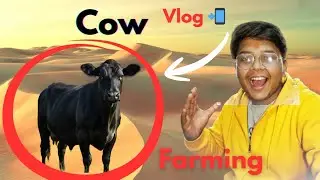 New Cow farming vlog | गाय पालन का व्लॉग #cow #farming #viral 