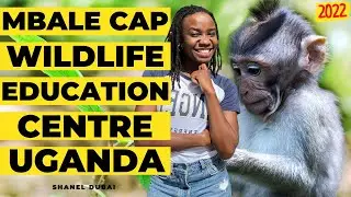 Mbale Cap Wildlife Education Centre Mount Wanale Uganda Is A Unique Day Out