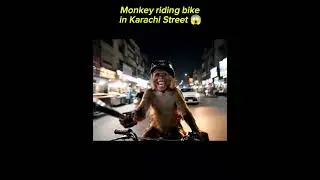 Monkey riding motorcycle in Karachi Street 🤪😂🏍️ #ai #karachi #ai#trending #veo3 #googleve