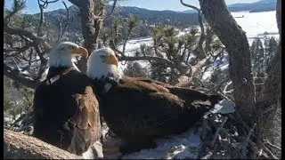 Big Bear Eagles ~ 2019 SEASON TRIBUTE ~ 