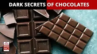 Your Favourite Chocolate Can Give You Memory Loss and Dementia | Sneha Mordani | Science Behind It