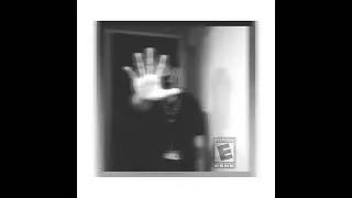 DFN. CRYZEN - FREE VERSE
