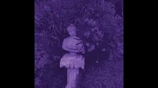 Luciérnaga - José Madero (Instrumental)