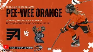 🏒Game 2 &ndash; Ames Flyers Pee-Wee Orange vs Jr. Heartlanders | Doubleheader Finale