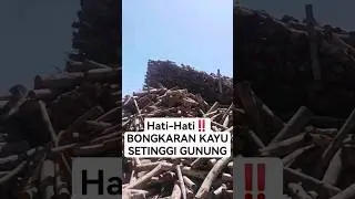 mesin potong kayu lapis tercepat #viral #trending #shorts #diy #concrete #woodworking