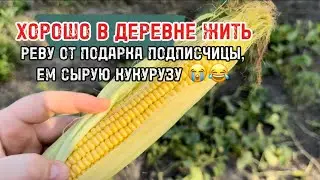 В село приехал помощник, который помог заштукатурить печь 👀🌚