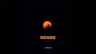 tenhush - Sense [Bouncy Skepta x Ambush Type Beat]