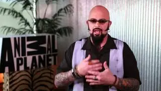 Jackson Galaxy, de 