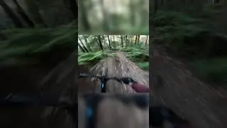 🐠 🚴&zwj;♀️Mullet Kenevo, faster than a 27.5&rdquo;?? #shorts