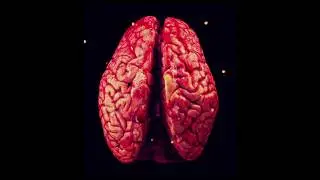 I Juice Your Brain - teaser trailer