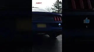 🔊Mustangs sound so much better with the MRT Sport Touring Exhaust