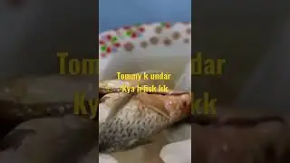 Digestive system of fish