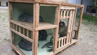 Membuat Kandang Kucing Murah