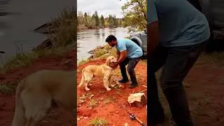 help me to save my child puppy 🙏😭😭