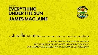 🐋 Can Blue Whales Talk to Killer Whales? | Everything Under The Sun Podcast Ep. 1