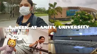 Vlog | Spend a week with me @ Amity University, research paper, food, summer fest, study, ramen etc.