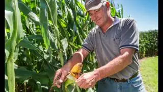History of a Public controversy GMO