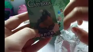 unboxing Capybara blind box  #asmr #unboxing