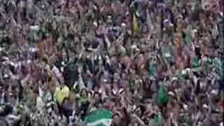 glory glory to the hibees