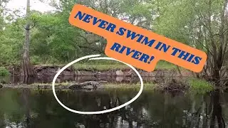 Kayaking The Wild Withlacoochee River
