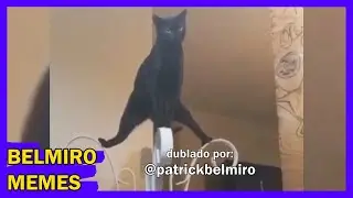 Belmiro Memes: Dublagens de animais engraçados - Episódio 510