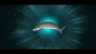 Common Sturgeon - creatures of the deep