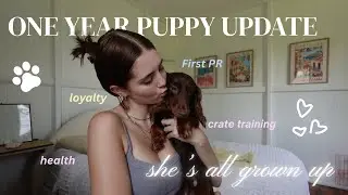 ONE YEAR PUPPY UPDATE || Miniature Dachshund!!
