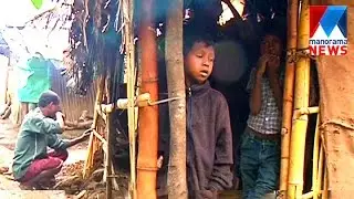Life struggle put end for education for tribal students | Manorama News