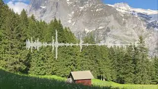 pastoral