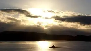 Helitranz having fun over auckland