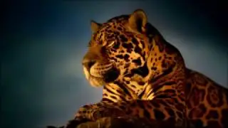 Ben B - New Life