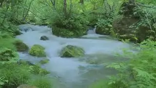 Relaxing Music With River Backround