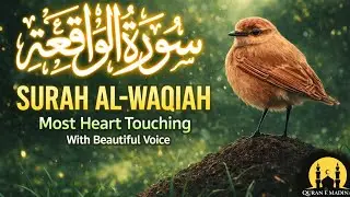 Surah Waqia Full Recitation 🌙 | Peaceful Quran Tilawat for Stress Relief & Rizq