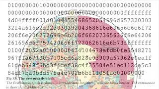 New Research Unearths Insights Into Satoshi and Bitcoin&rsquo;s Early Days