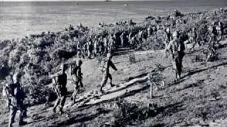 Thank You, Marine's ~ Semper Fi