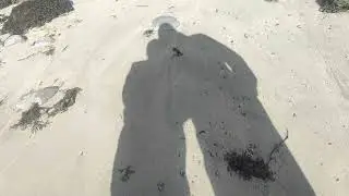 Silverstrand Beach and Barna Woods in Galway