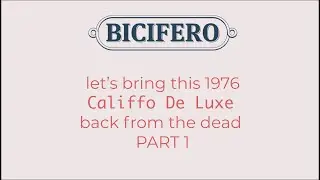 Let’s put this 1976 50cc Rizzato Califfo De Luxe - Part 1 - Introduction and assessment