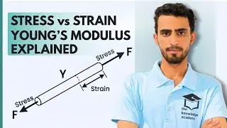Stress, Strain & Young&rsquo;s Modulus Explained | Properties of Matter | Class 9 Physics