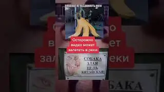 МЕМ #1034