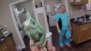 Chameleon eye abscess
