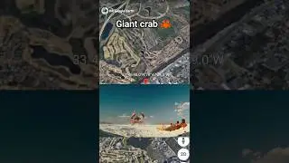OMG Giant crab 🦀 on google maps and google earth 🌎 #shots #hrgoogleearth