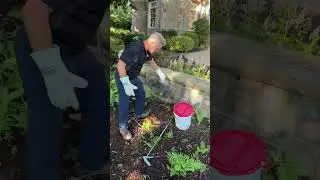How To Remove Copperhead Snakes.
