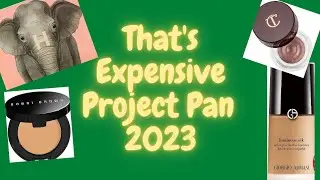 That's Expensive Project Pan... 💰🤑💲 Big and small changes! #thatsexpensiveprojectpan #projectpan