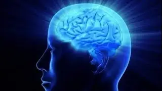 nofap boost IQ level 🔥 in hindi / no pmo bharat