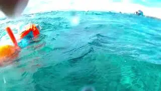 1st Dive, Cebu