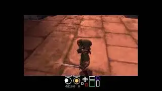TP: Forest Temple Back in Time from Save Continue Prompt [GCN]
